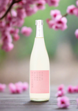 Biroku 'Spring' Tokubetsu Junmai - Limited Seasonal Sake