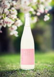 Biroku 'Spring' Tokubetsu Junmai - Limited Seasonal Sake